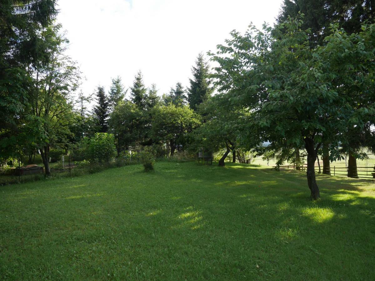 Sofia House Villa Abertamy Kültér fotó