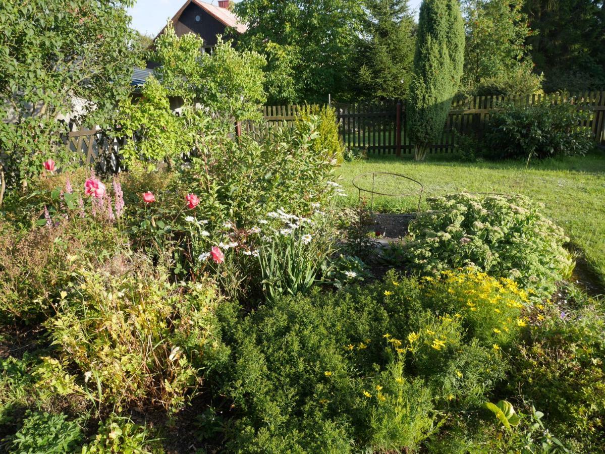 Sofia House Villa Abertamy Kültér fotó
